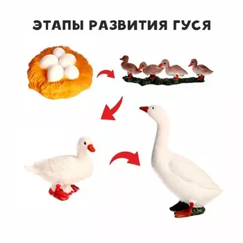 Обучающий набор
