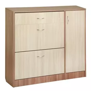 Обувница 3 отделения с дверью, 1060х280х960, ясень шимо светлый/темный