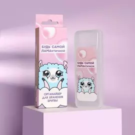 Органайзер для бритвы