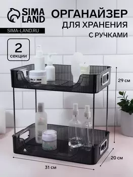 Органайзер для хранения, с ручками, 2 секции, 312029 см, цвет черный, серебристый