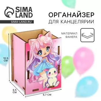 Органайзер для канцелярии настольный