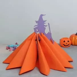 Органайзер-салфетница