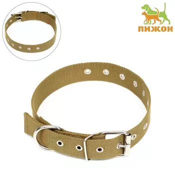 Ошейник брезентовый безразмерный однослойный, 723.5 см, песочный