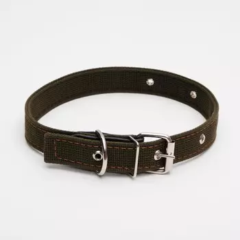 Ошейник брезентовый двухслойный, 62 х 3 см, ош 30-55 см, темно-зеленый
