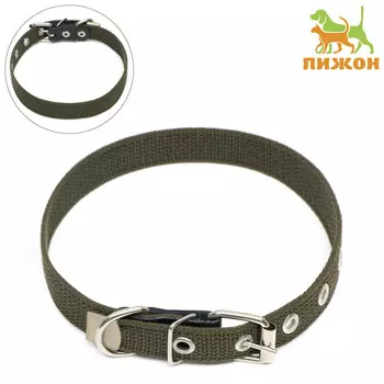 Ошейник брезентовый однослойный, 502 см, ош 25-35 см, хаки