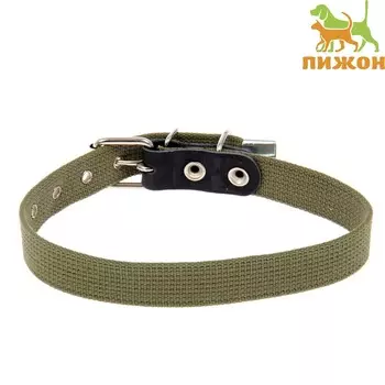 Ошейник брезентовый однослойный, 57 х 2,5 см, ош 35-45 см, хаки