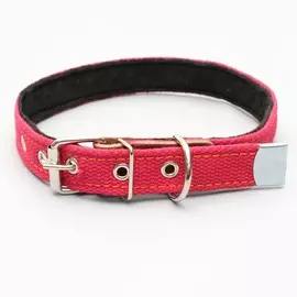Ошейник брезентовый с подкладом, 57 х 2,5 см, ош 35-45 см, красный