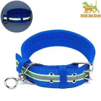 Ошейник четырехслойный светоотражающий с вертлюгом, 715 см, ош 55-65 см, синий