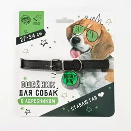 Ошейник для собак