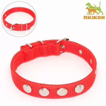 Ошейник клепаный, 40.5 х 2 см, ош 26-34 см, полиэстер, красный