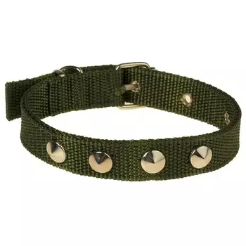 Ошейник клепаный, 40.5 х 2 см, ош 26-34 см, полиэстер, темно-зеленый
