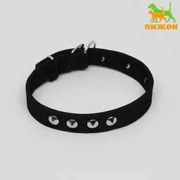 Ошейник клепаный, 45 х 2.5 см, ош 32-40 см, полиэстер, черный