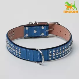 Ошейник двухслойный клепаный, 65 х 3,5 см, синий
