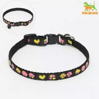 Ошейник двухслойный с фастексом