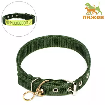 Ошейник двухслойный с вертлюгом, 2,5 см, зеленый
