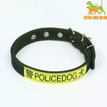 Ошейник двухслойный с вертлюгом, 3 см, зеленый