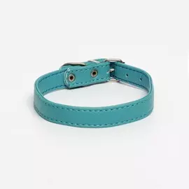Ошейник из экокожи бирюзовый, размер 26-34 см, ширина 1.6 см