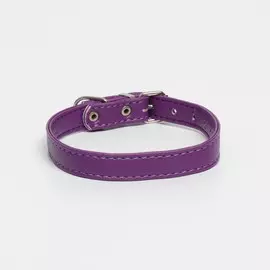 Ошейник из экокожи фиолетовый, размер 26-34 см, ширина 1.6 см