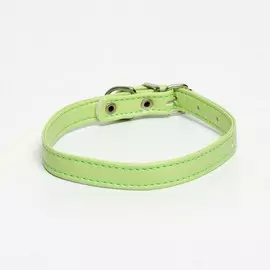 Ошейник из экокожи салатовый, размер 26-34 см, ширина 1.4 см