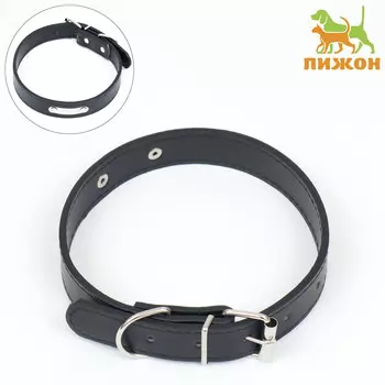 Ошейник из искусственной кожи с шильдом под гравировку, 2,5 х 52 см, ош 35-45 см, черный