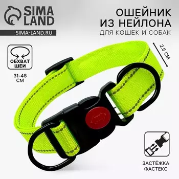 Ошейник из нейлона с фастексом 2,5 см, ош 31-48 см, зеленый