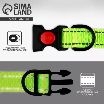 Ошейник из нейлона с фастексом 2 см, ош 27-40 см, зеленый