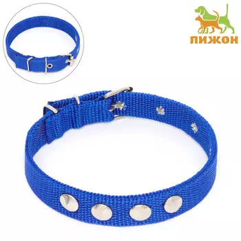 Ошейник клепаный, 40.52 см, ош 26-34 см, полиэстер, синий