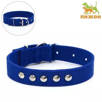 Ошейник клепаный, 48,5 х 3 см, ош 31-40 см, полиэстер, синий