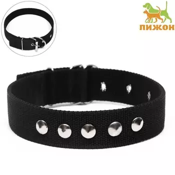 Ошейник клепаный, 48.53 см, ош 31-40 см, полиэстер, черный