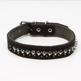 Ошейник комбинированный кожа/брезент