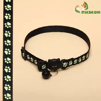 Ошейник кошачий