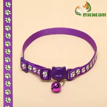 Ошейник кошачий