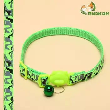 Ошейник кошачий пижон