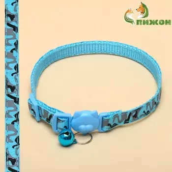 Ошейник кошачий пижон