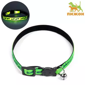 Ошейник кошачий со светоотражающим покрытием