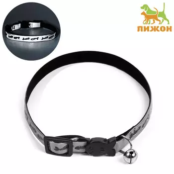 Ошейник кошачий со светоотражающим покрытием
