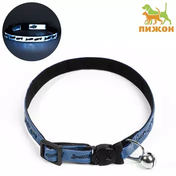 Ошейник кошачий со светоотражающим покрытием