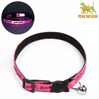Ошейник кошачий со светоотражающим покрытием