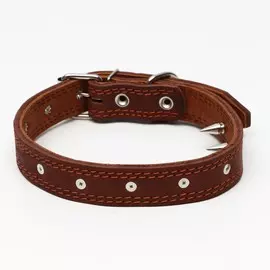 Ошейник кожаный