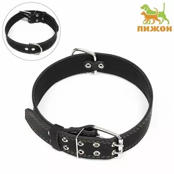 Ошейник кожаный двухслойный, 85 х 4.5 см, ош 50-70 см, черный