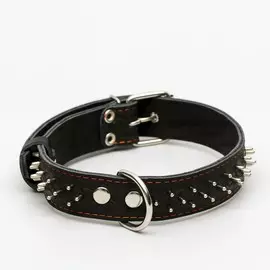 Ошейник кожаный двухслойный клепаный