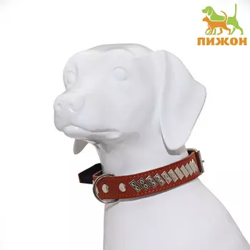 Ошейник кожаный на фетре украшеный, 65 х 3,5 см, ош 50-60 см, коричневый