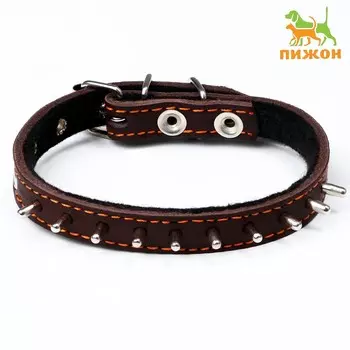 Ошейник кожаный на синтепоне,