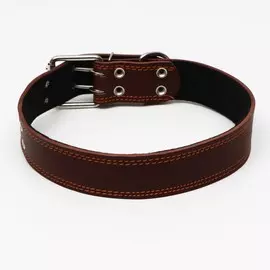 Ошейник кожаный на синтепоне, 82 х 4.5 см, ош 50-70 см, коричневый