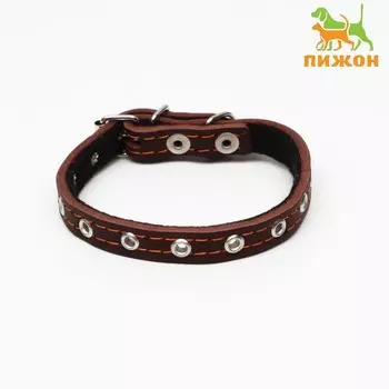 Ошейник кожаный на синтепоне, безразмерный, 37 х 1.5 см, ош 21-31 см, коричневый