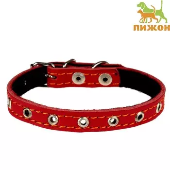 Ошейник кожаный на синтепоне, безразмерный, 37 х 1,5 см, ош 21-31 см, красный