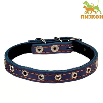 Ошейник кожаный на синтепоне, безразмерный, 37 х 1,5 см, ош 21-31 см, синий