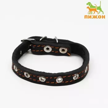 Ошейник кожаный на синтепоне, безразмерный, 37 х 1.5 см, ош 21-31 см, черный