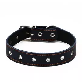 Ошейник кожаный на синтепоне, безразмерный, 71 х 3,5 см, ош 29-62 см, синий
