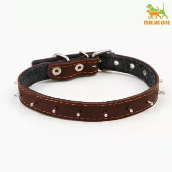 Ошейник кожаный на синтепоне, с шипами, 2 х 40 см, ош 25-35 см,темно-коричневый